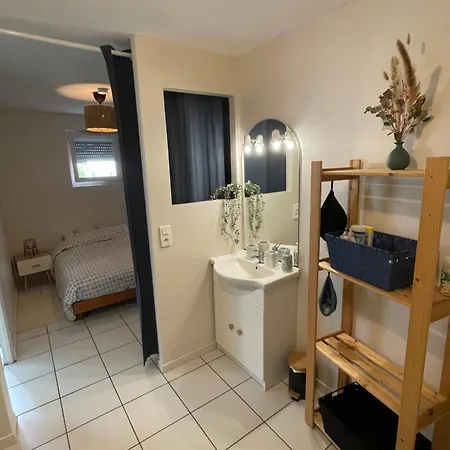 Apartment Appartement Avec Jardin Prive Et Suite Parentale *